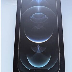 Apple iPhone 12 Pro Max in Sleek Silver